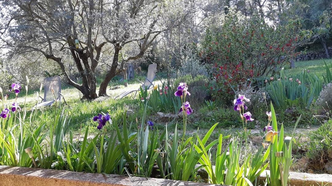 Loucabanon Var Draguignan Exterior photo